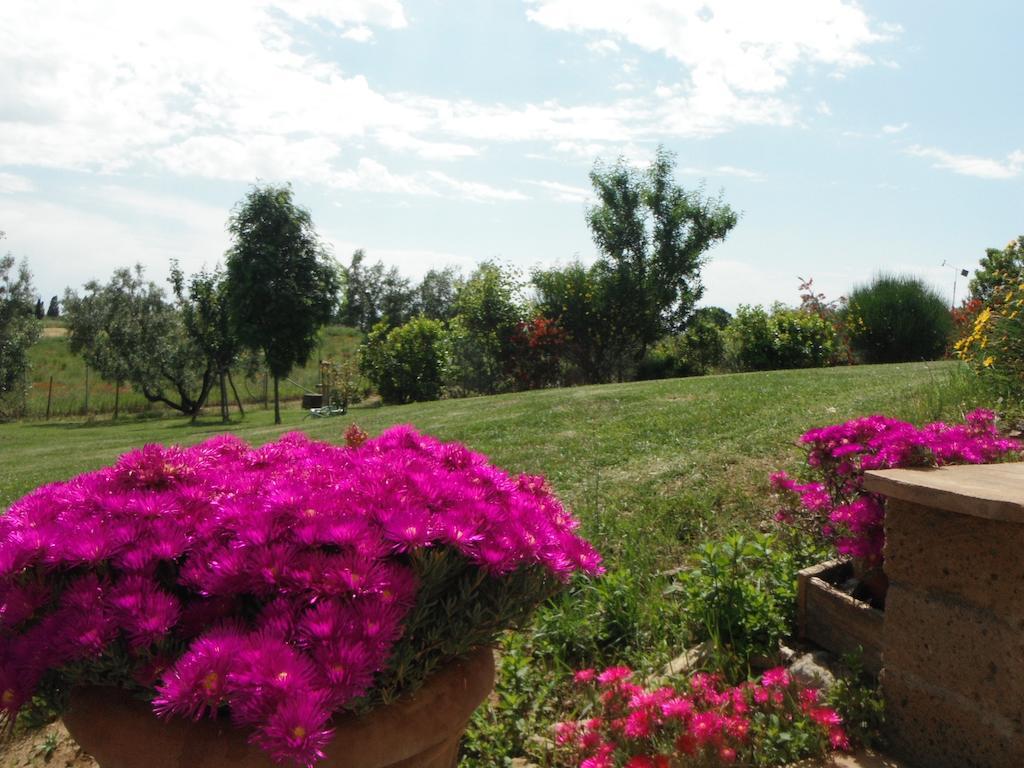 Locanda Degli Etruschi Montalto di Castro Buitenkant foto